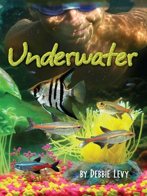 cover image of Underwater